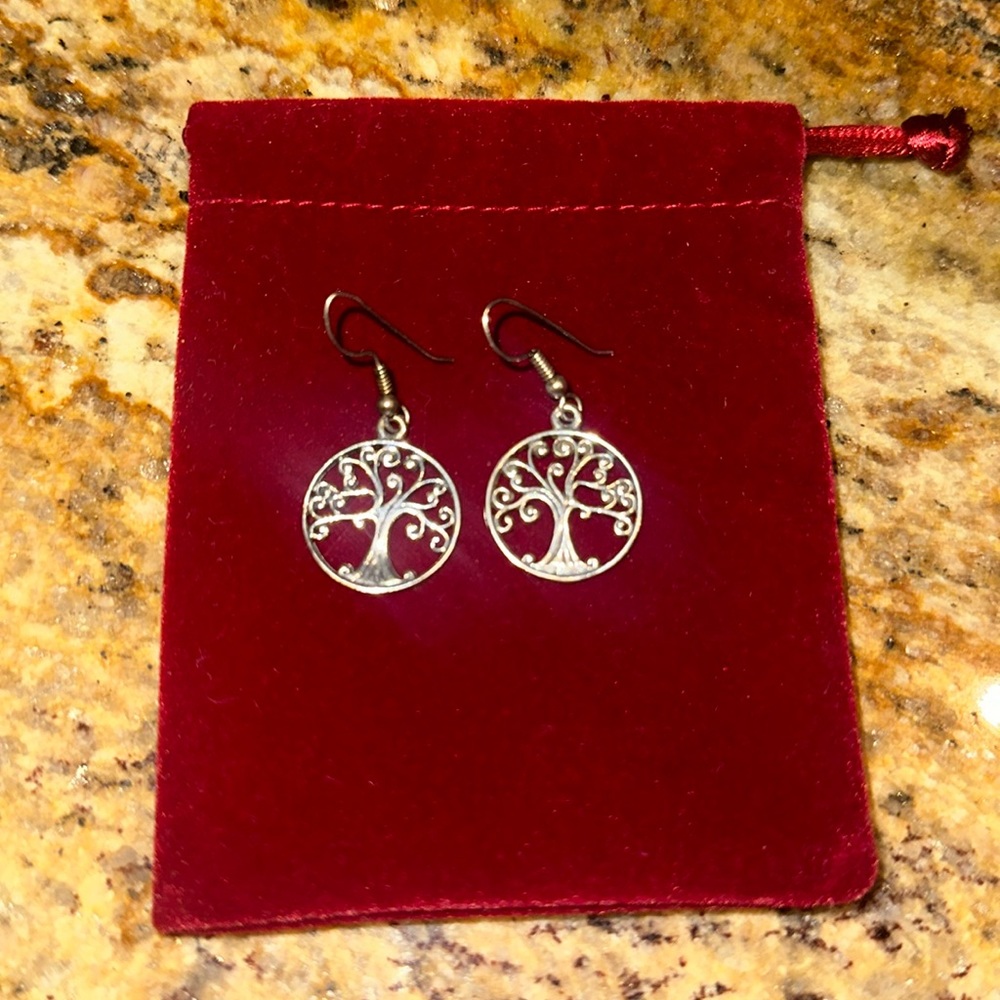 Sterling Silver hook Earrings